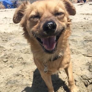 Meet your Posher, Barbara